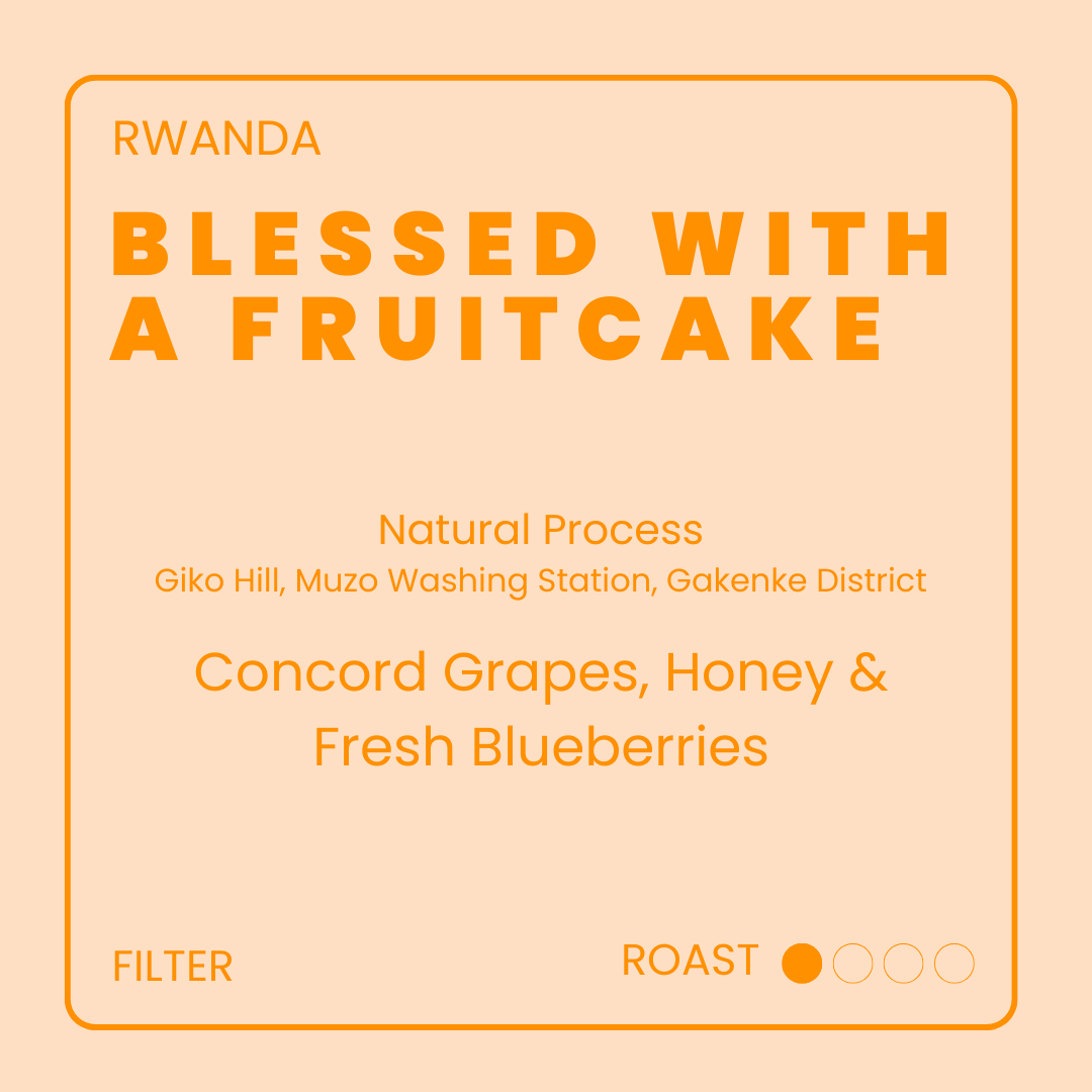 Blessed With A Fruitcake