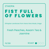 Fist Full Of Flowers