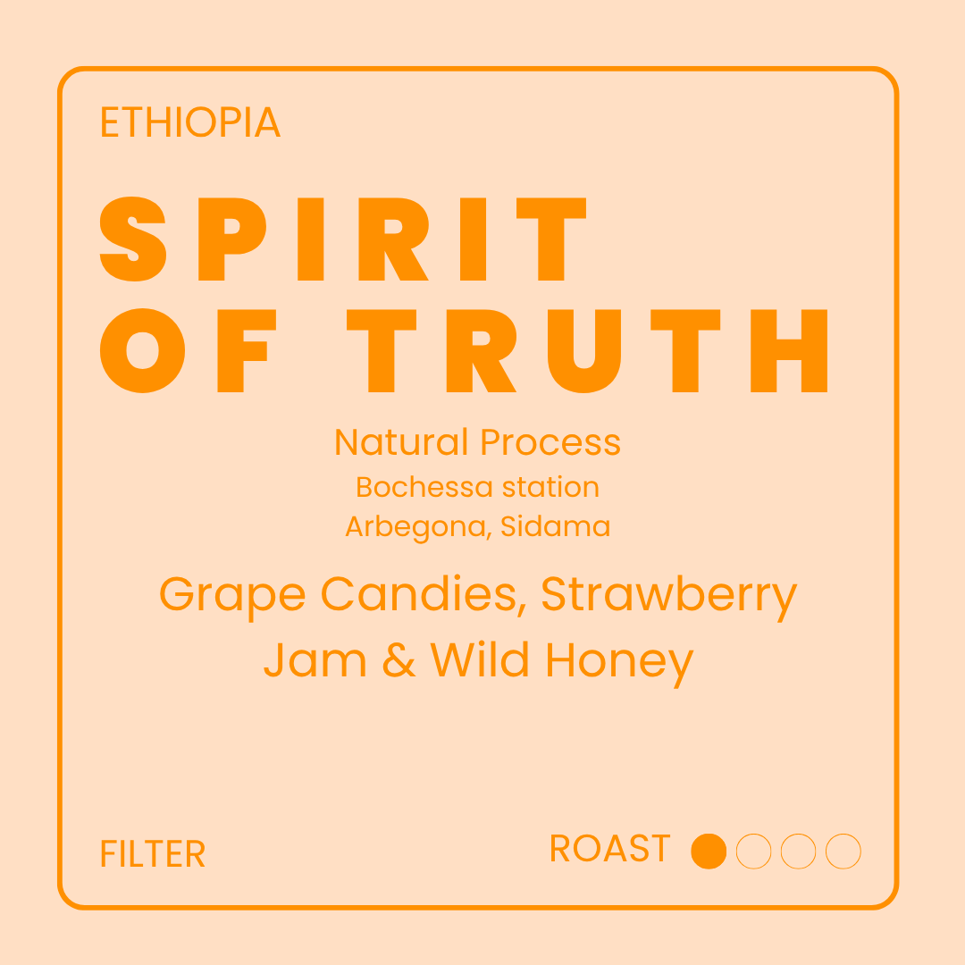 Spirit Of Truth