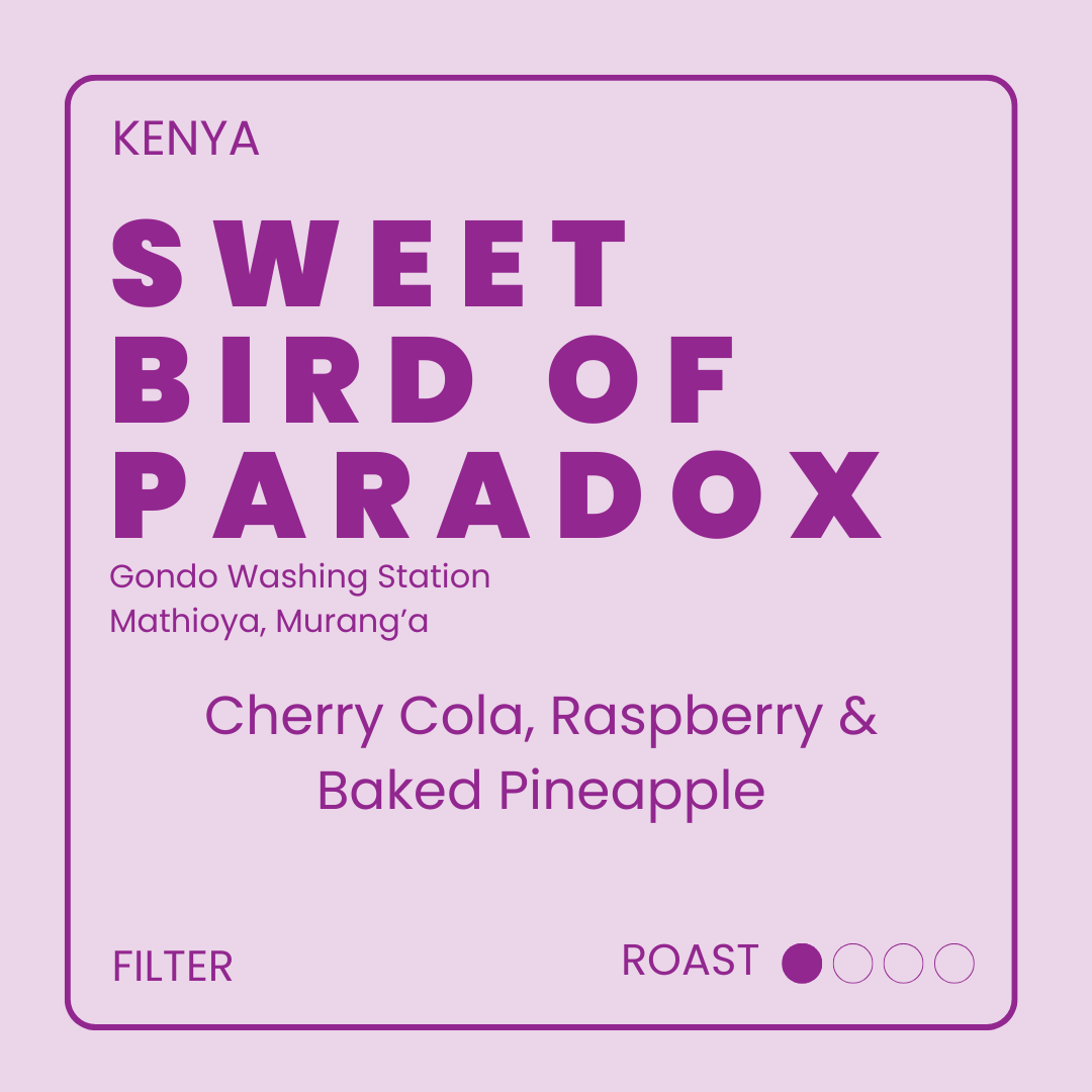 Sweet Bird of Paradox