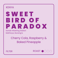 Sweet Bird of Paradox